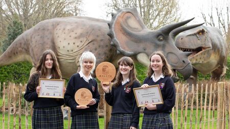 Portlaoise school wins national award