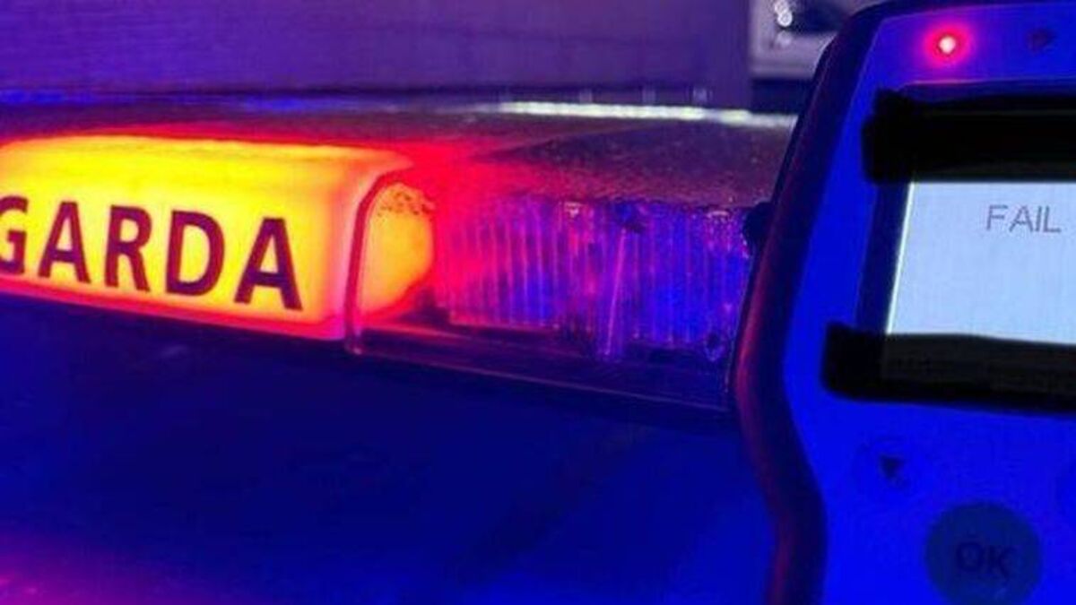 Drink driver on learner licence for over 40 years