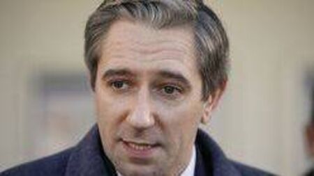 Portlaoise Court: Man accused of threatening to kill Tánaiste Simon Harris