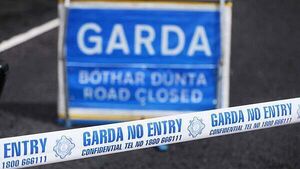 Garda hospitalised after hit-and-run in Westmeath Garda hospitalised after hit-and-run in Westmeath