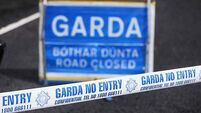 Garda hospitalised after hit-and-run in Westmeath