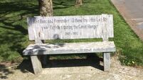 Solid proof of bird poo havoc in Laois village
