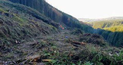 Councillors call for amenity walks and recreational areas in Laois forests to be protected