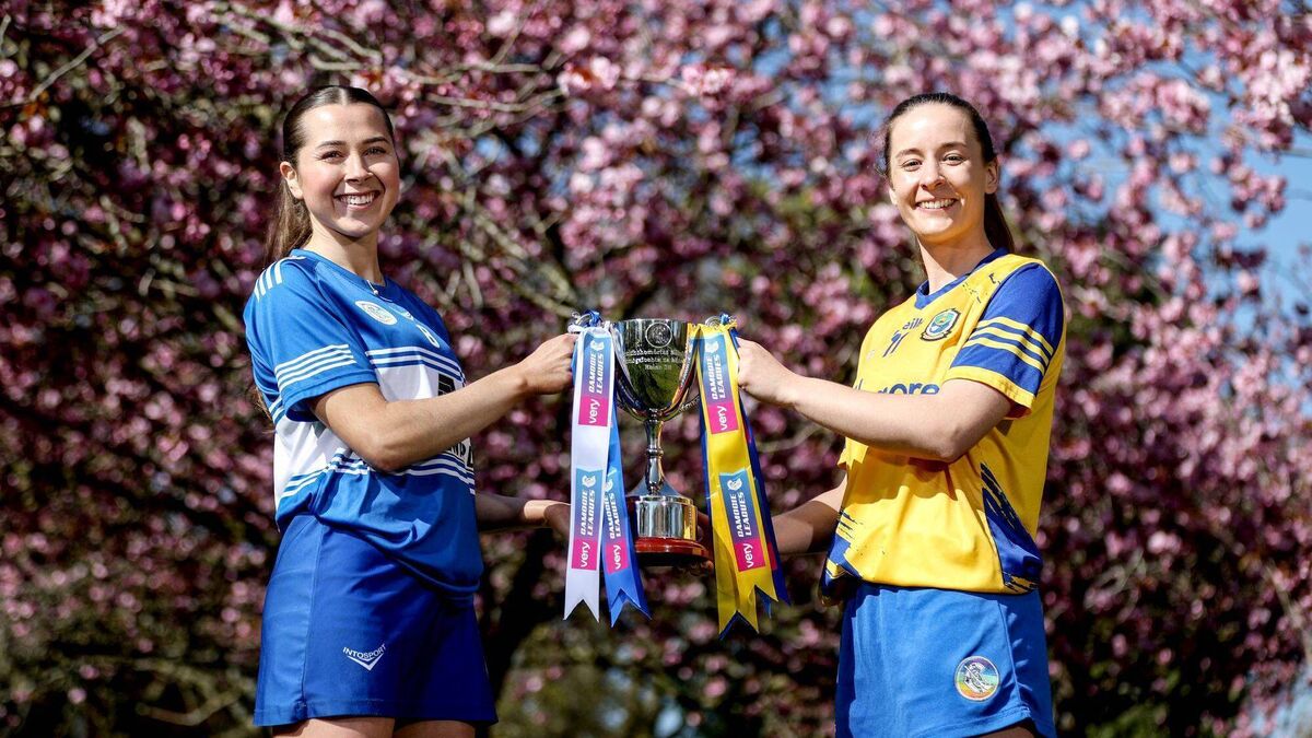 Laois head to Kinnegad in search of League honours