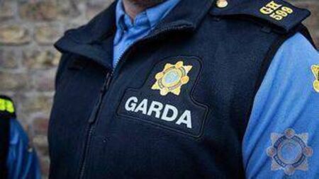 Policing body in Laois renamed ‘Community Safety Partnership’