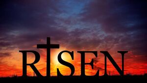 This Easter, let us be bold in our hope