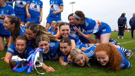  Last year’s defeat fuels this year’s glory as Laois claim Division 3a title