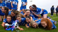  Last year’s defeat fuels this year’s glory as Laois claim Division 3a title