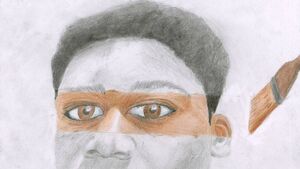 Laois student (12) wins Texaco art award