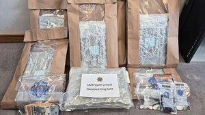 Two people arrested after seizure of cannabis worth €300,000 in Dublin Two people arrested after seizure of cannabis worth €300,000 in Dublin
