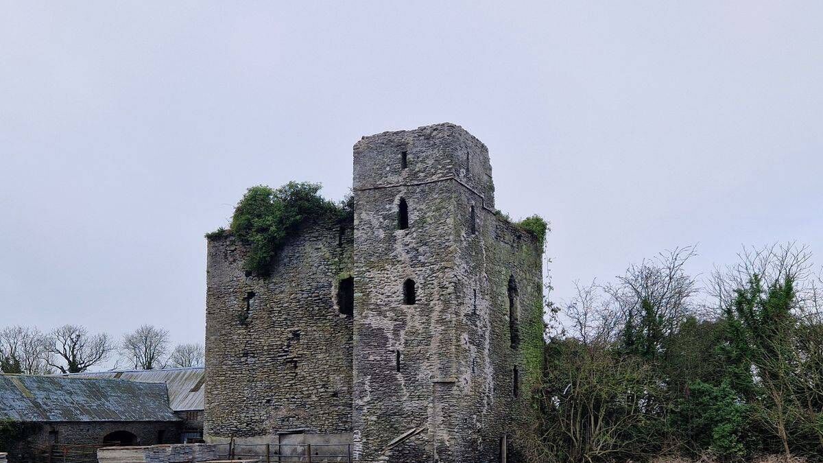 Two historic Laois buildings to share €229,000