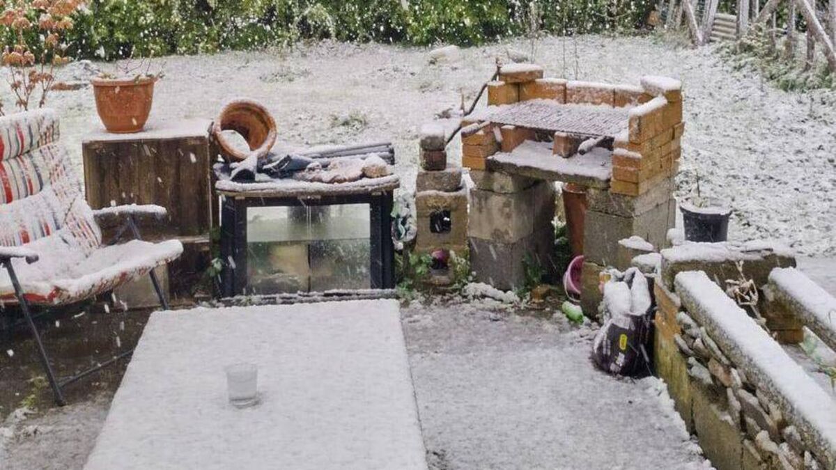 Snow is falling in Laois