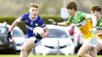 Laois minors came within a whisker of escaping from the lion’s den
