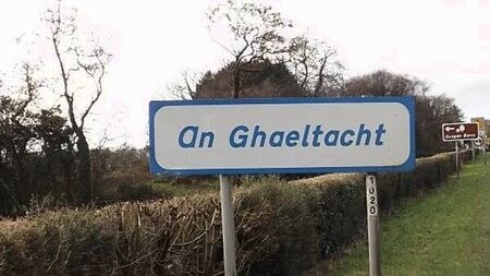The Gaeltacht will die without more planning permissions, MEP says