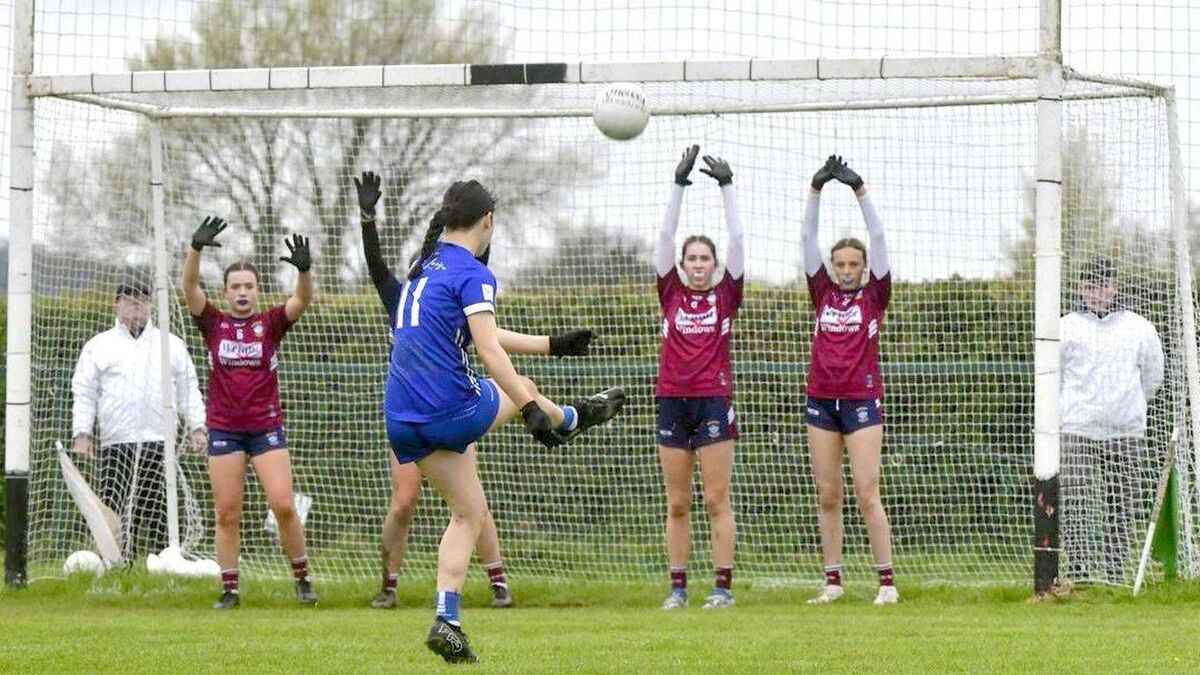 Last gasp goal breaks Laois hearts