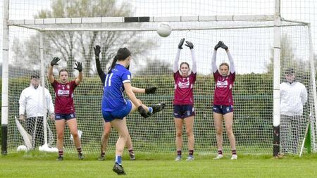 Last gasp goal breaks Laois hearts