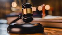 Woman stole €150 worth of newspapers