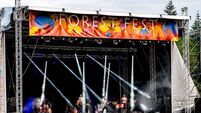 35 new acts added to popular Laois arts and music festival 