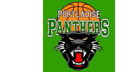 Panthers and local Portlaoise schools gearing up for 2025 Jr. NBA Festival of Fun