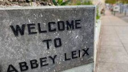 Street lights needed in busy part of Laois town