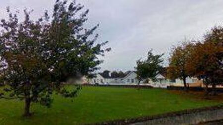 Residents concerned about ‘dodgy looking’ trees in Laois housing estate