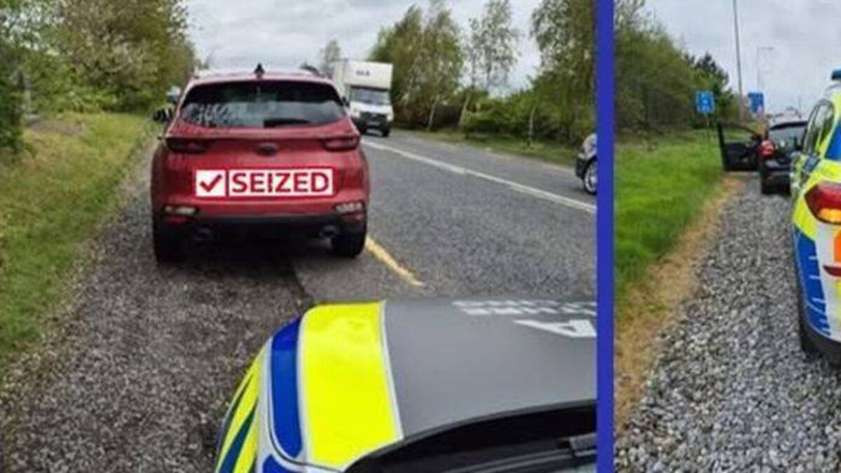 Two learners arrested by Laois gardaí