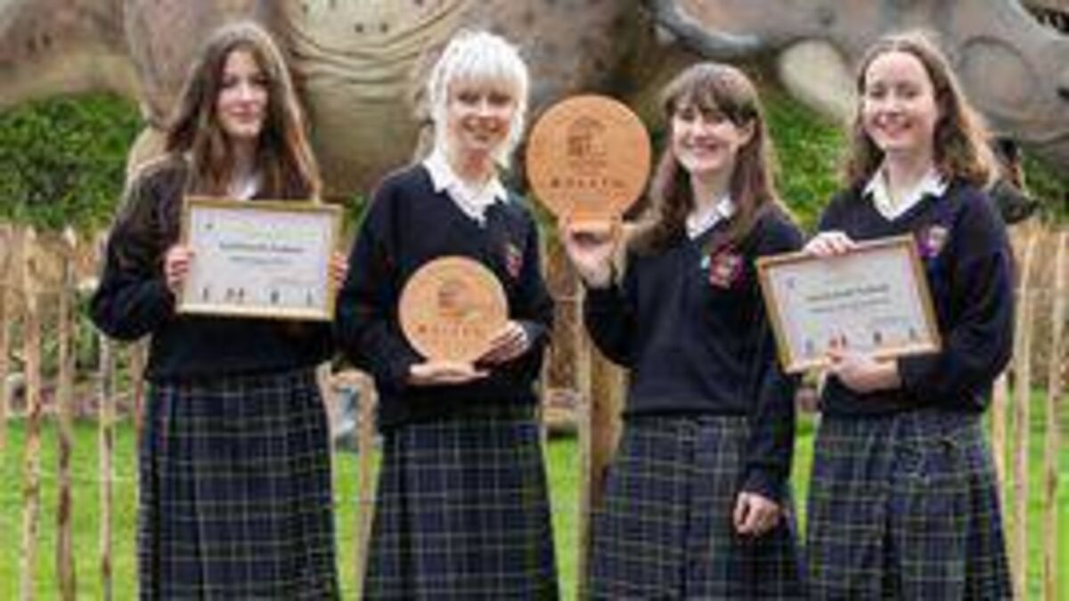 Laois school named as Ireland’s Sustainable Travel School of the Year