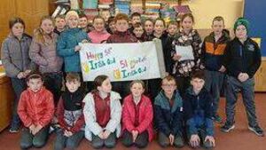 Two Laois schools in the running for national awards