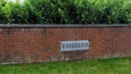 Trees to be removed at entrance to Laois housing estate