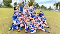 Ballybrittas complete the League and Cup double