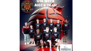 Rollercoaster ride for Kestrels in All-Ireland Club Championships