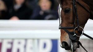 Man who took racehorse is 'perilously' close to being jailed if he does not return it Man who took racehorse is 'perilously' close to being jailed if he does not return it