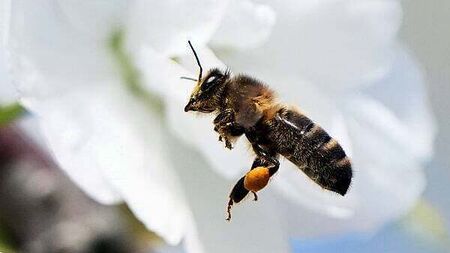 April was third-warmest on record since 1900 – Met Éireann