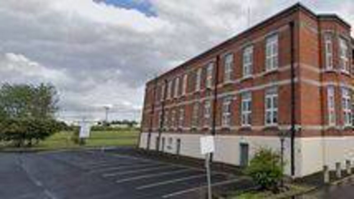 Report of 960 homes near Saint Fintan’s Hospital in Portlaoise questioned