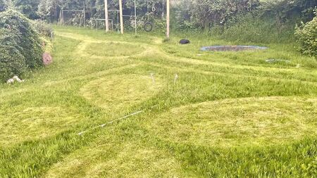 Laois lawn art competition for No Mow May 