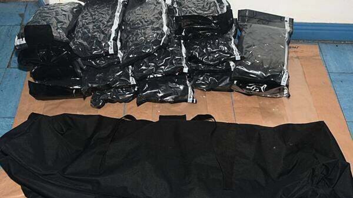 Gardaí arrest three men after drugs and firearms ammunition seized in Limerick