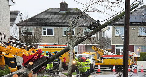 Over 92,000 applications made for compensation from Storm Eowyn Over 92,000 applications made for compensation from Storm Eowyn