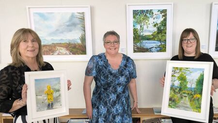 Laois artist Nano’s vibrant landscapes capture the vibrancy of Mother Nature