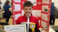 Laois student scoops award for pet-friendly invention