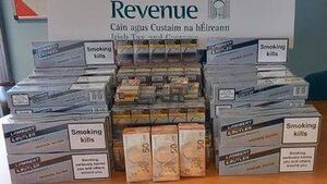 Revenue swoop on property in Laois