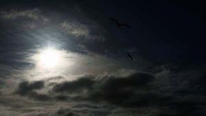Thunderstorm warning in place for three counties Thunderstorm warning in place for three counties