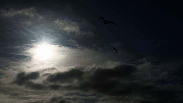 Thunderstorm warning in place for three counties