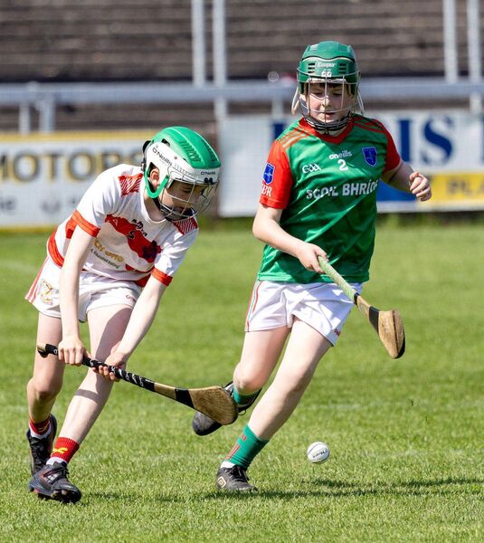 Action from the Roinn 1 championship hurling final at the Cumann na mBunscol finals Photo: Alf Harvey. Action from the Roinn 1 championship hurling final at the Cumann na mBunscol finals Photo: Alf Harvey.