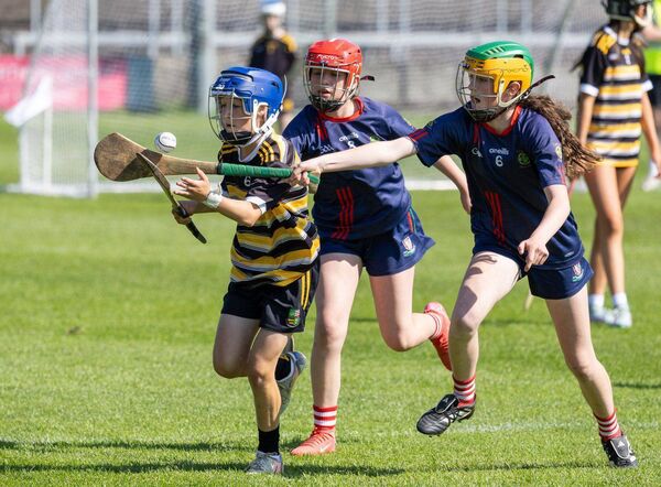 Action from the Division 2 Camogie championship final Photo: Alf Harvey. Action from the Division 2 Camogie championship final Photo: Alf Harvey.