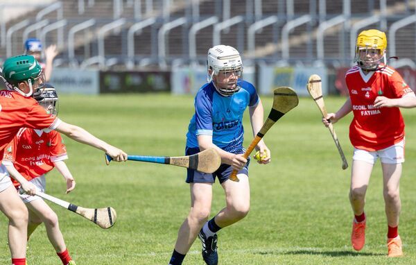 Action from the Division 4 championship hurling final Photo: Alf Harvey. Action from the Division 4 championship hurling final Photo: Alf Harvey.