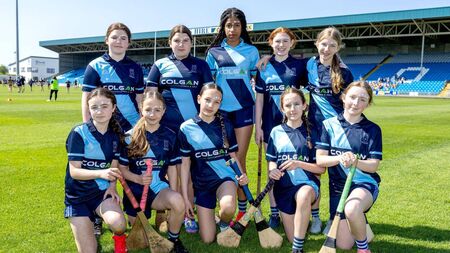 Brennan goes goal crazy as Scoil Bhríde Portlaoise take camogie title