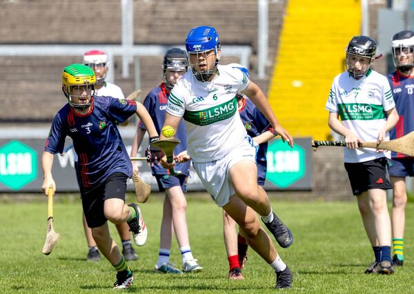 Action from the Division 6 Hurling Shield final Photo: Alf Harvey.