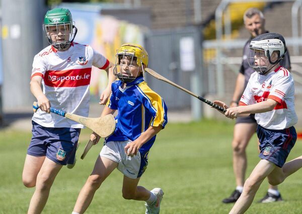 Action from the Division 6 Hurling final Photo: Alf Harvey. Action from the Division 6 Hurling final Photo: Alf Harvey.