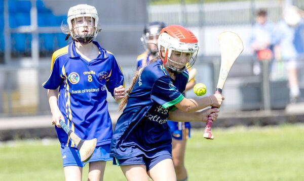 Action from the Division 6 Camogie final Photo: Alf Harvey.
