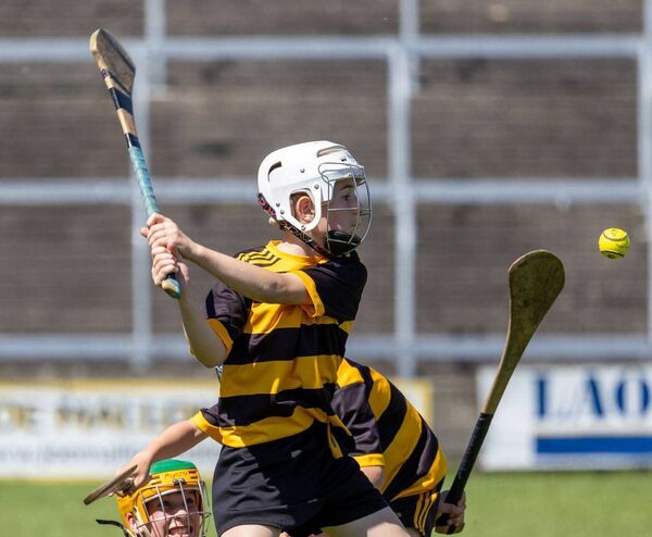 Action from the Division 4 Hurling Shield final Photo: Alf Harvey.